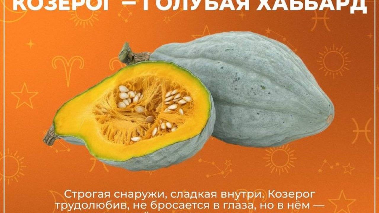 Какая ты тыква по знаку зодиака