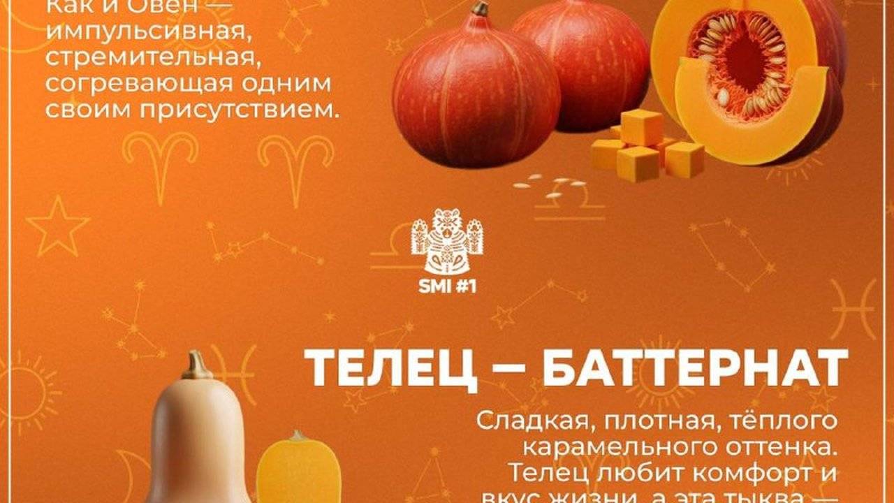Какая ты тыква по знаку зодиака