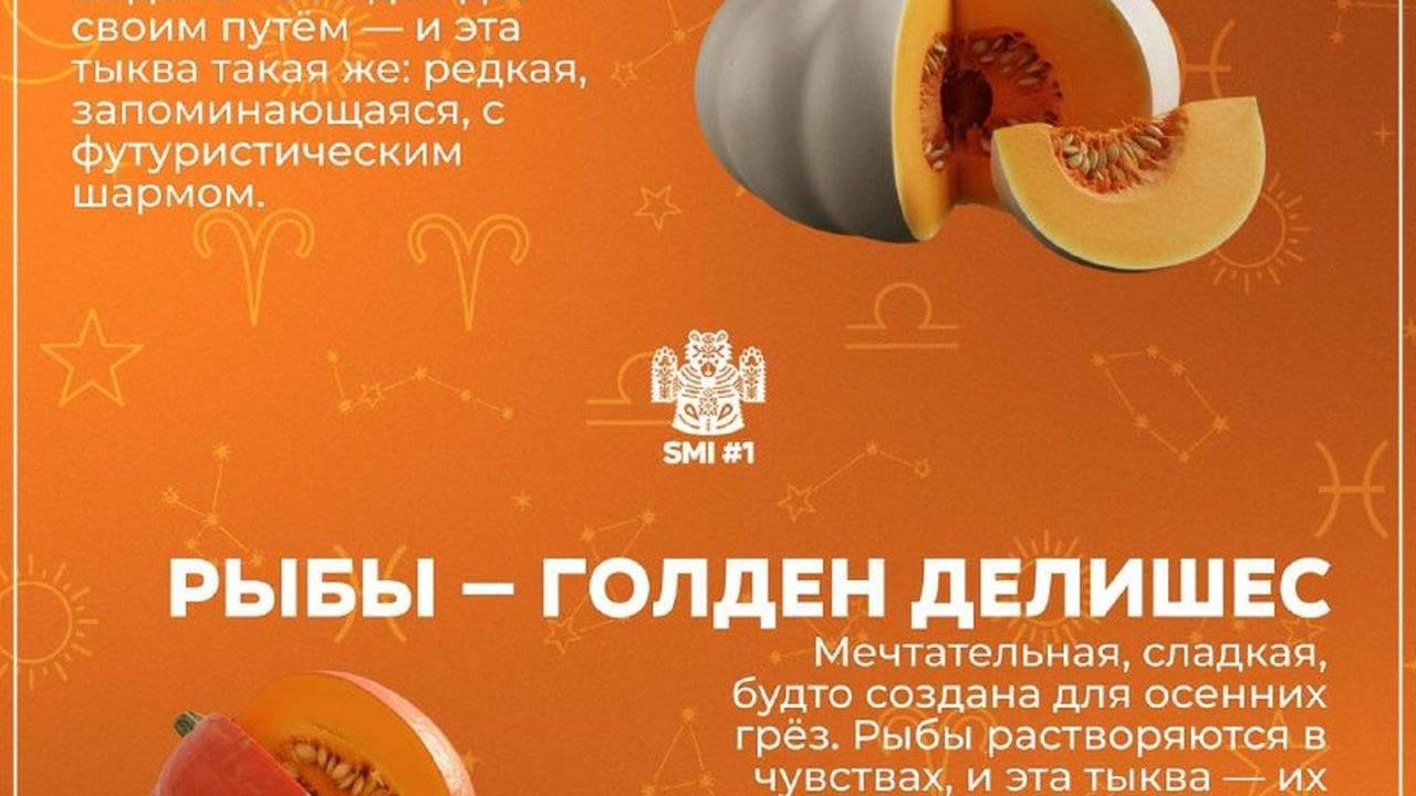 Какая ты тыква по знаку зодиака