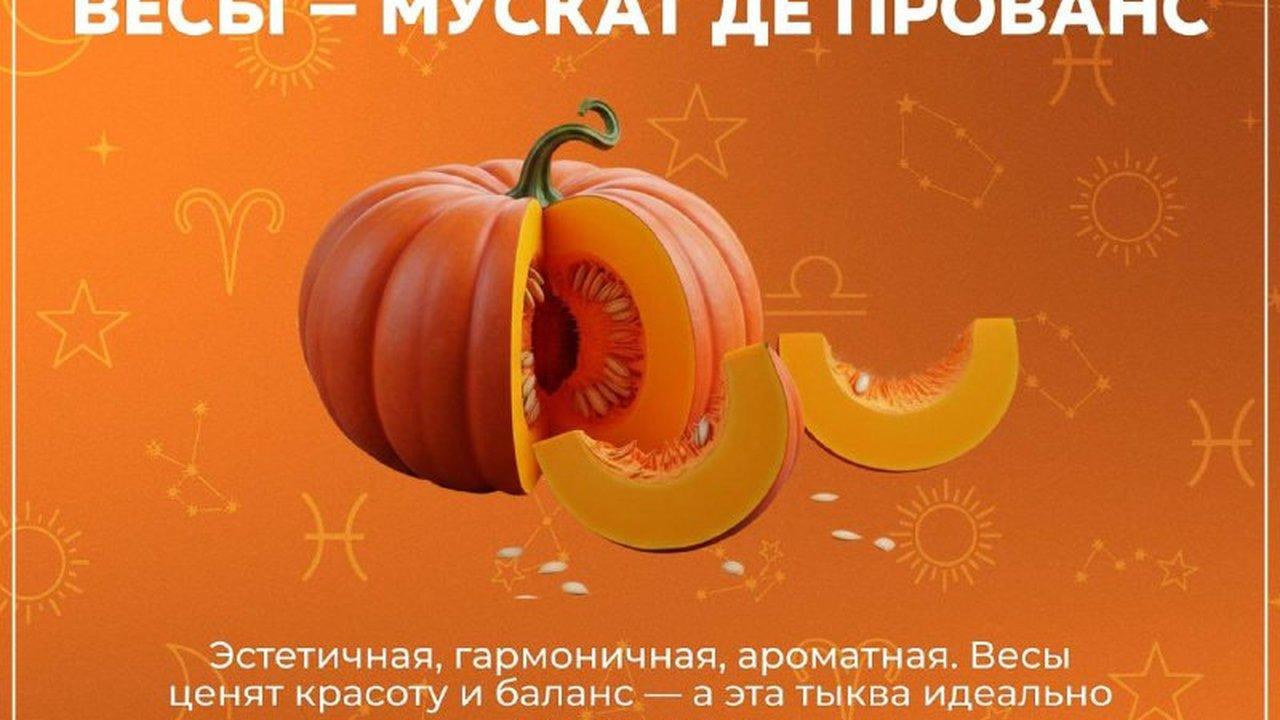 Какая ты тыква по знаку зодиака