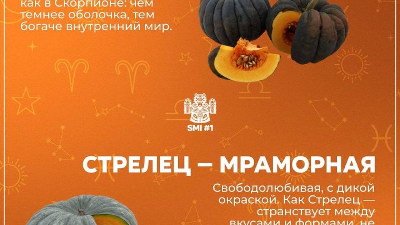 Какая ты тыква по знаку зодиака