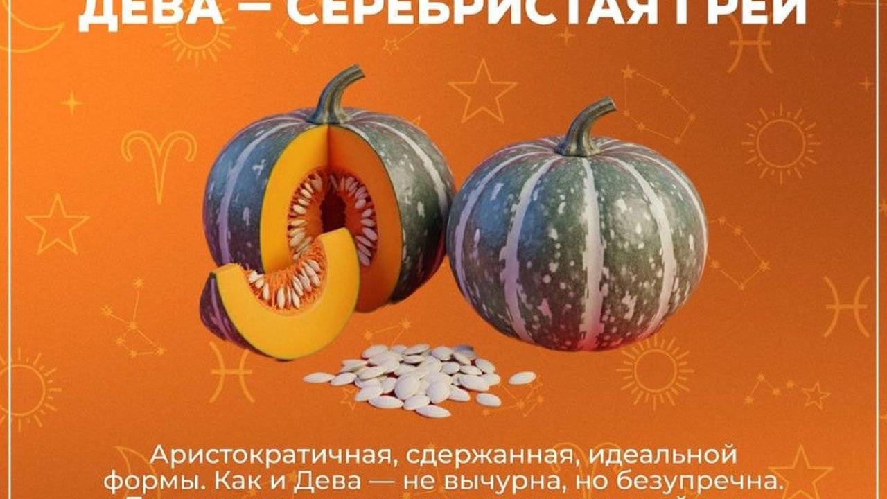 Какая ты тыква по знаку зодиака