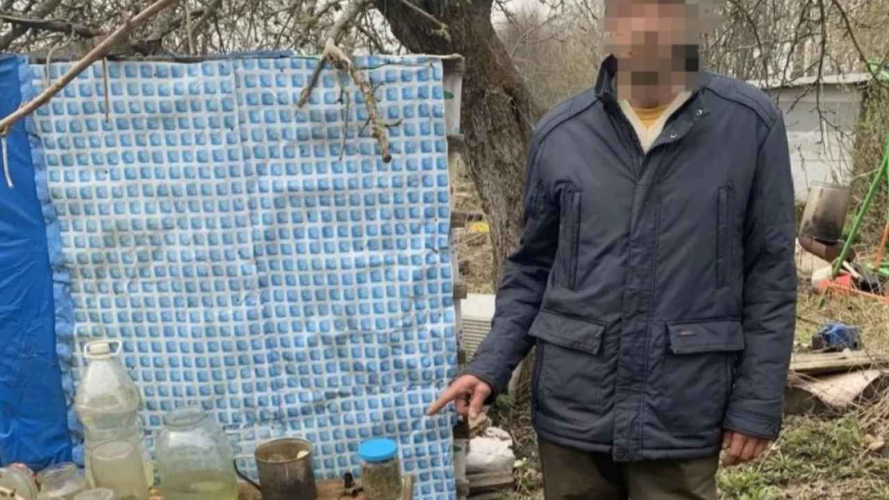 Житель Станового Колодца добровольно выдал полиции 42 грамма марихуаны