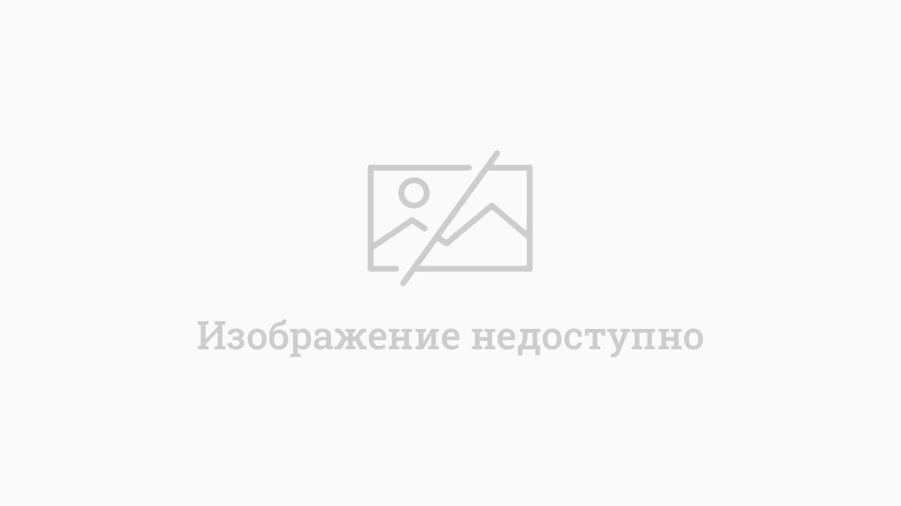 В Орле начали ремонт с массовой вырубки: под топор пошли даже лиственницы